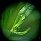 Illustration for article titled Shooting Challenge: Bokeh, Gallery 5